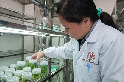 Công ty TNHH Suheung Việt Nam tuyển dụng Kỹ sư phòng thí nghiệm