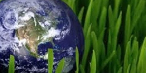 CNSH Phân tử & Môi trường