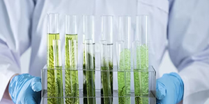 CNSH Thực vật & Chuyển hóa sinh học