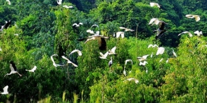 Sinh thái - Sinh học tiến hoá