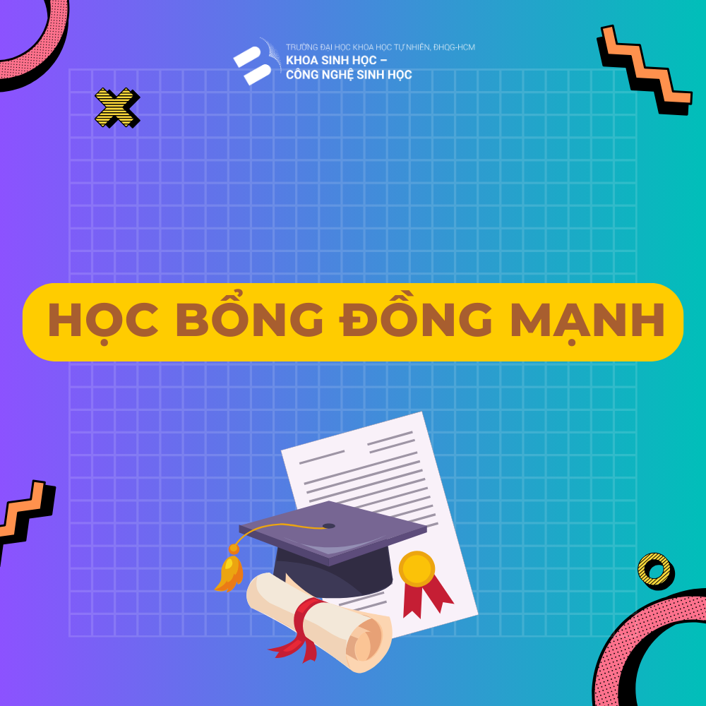THÔNG BÁO HỌC BỔNG ĐỒNG MẠNH NĂM 2025