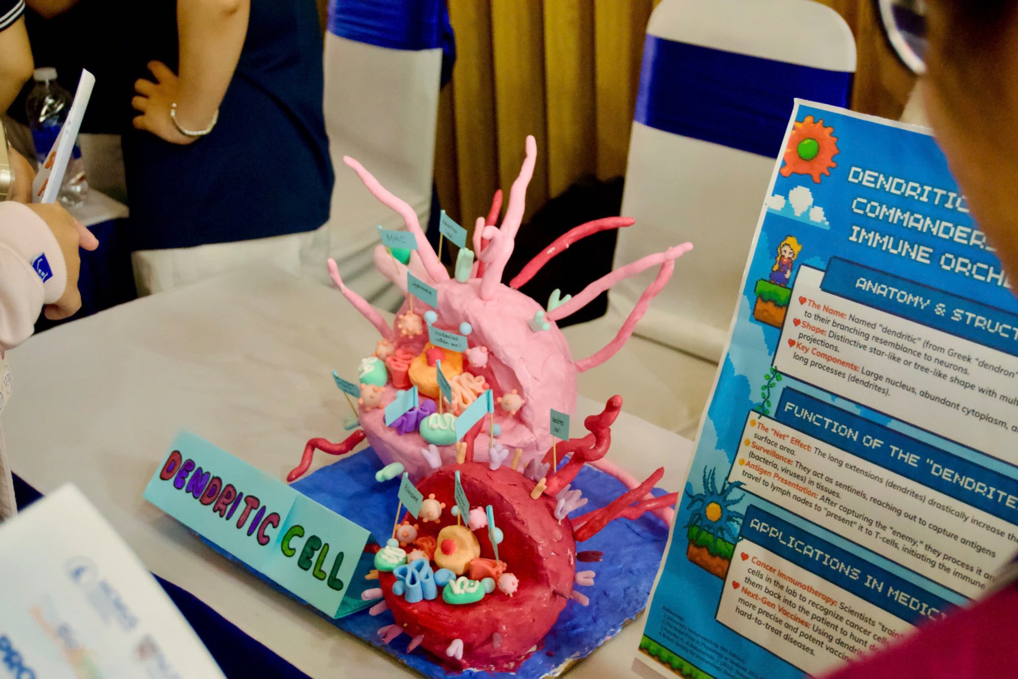 73c2bc373942b61cef53